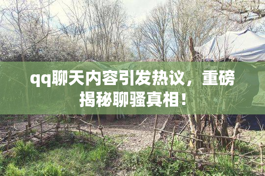 qq聊天内容引发热议，重磅揭秘聊骚真相！