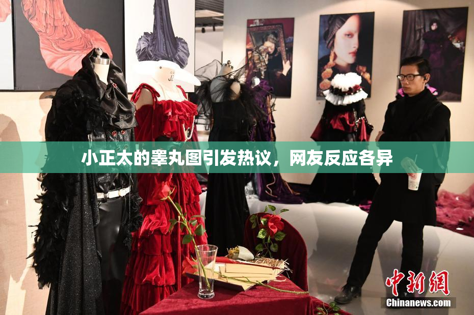 小正太的睾丸图引发热议，网友反应各异