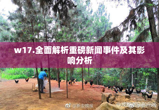 w17.全面解析重磅新闻事件及其影响分析