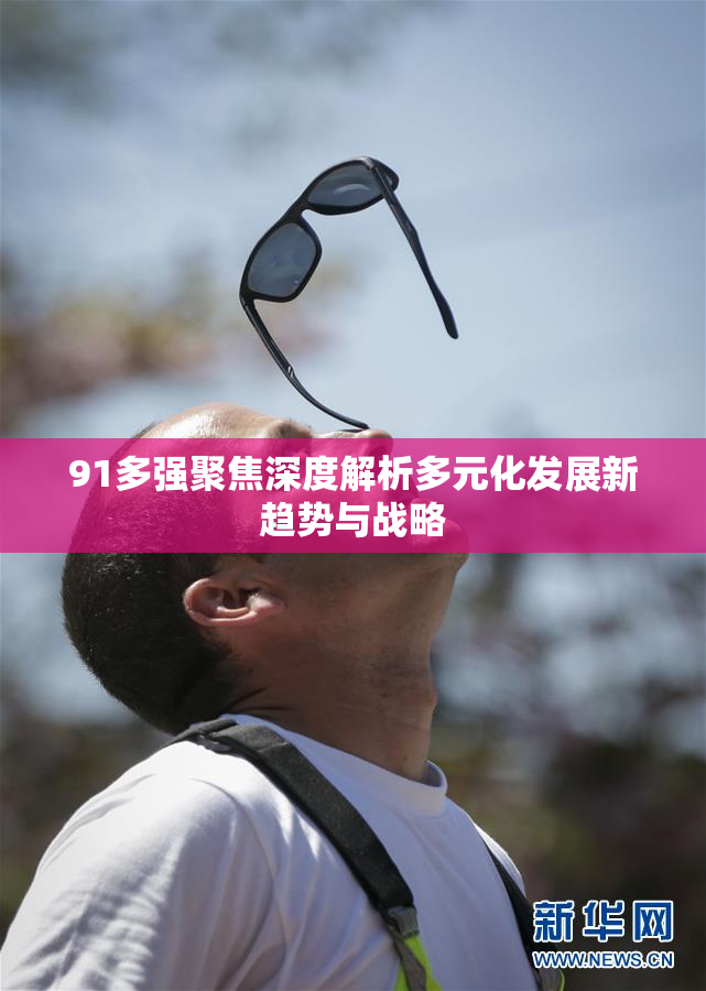 91多强聚焦深度解析多元化发展新趋势与战略