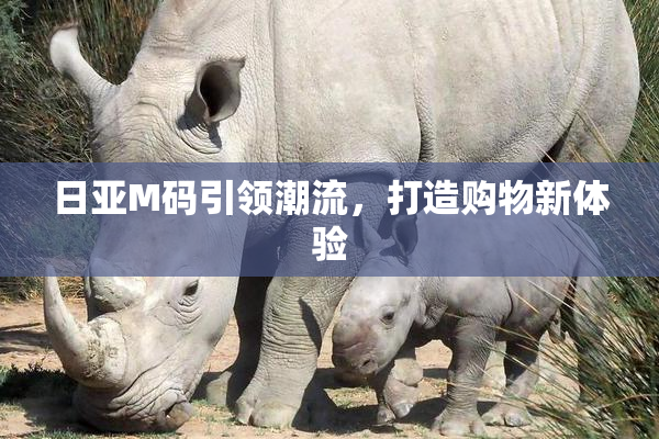 日亚M码引领潮流，打造购物新体验