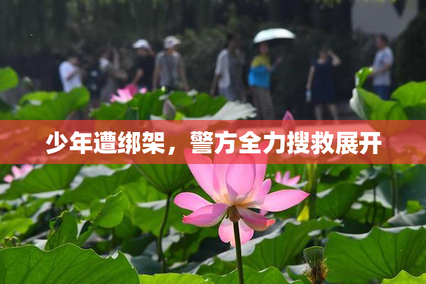 少年遭绑架，警方全力搜救展开