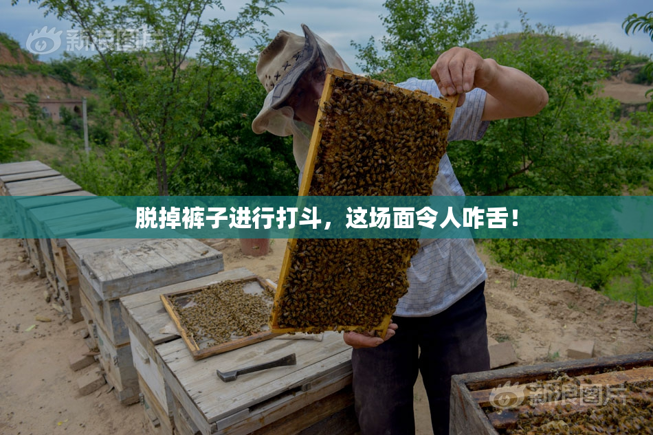 脱掉裤子进行打斗，这场面令人咋舌！