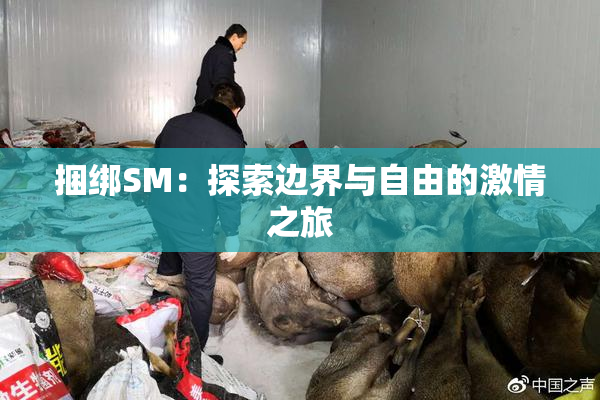 捆绑SM：探索边界与自由的激情之旅