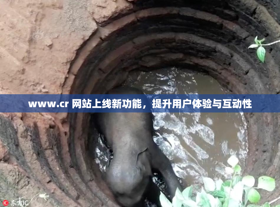 www.cr 网站上线新功能，提升用户体验与互动性