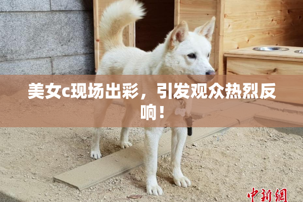 美女c现场出彩，引发观众热烈反响！