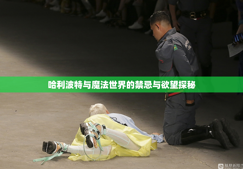 哈利波特与魔法世界的禁忌与欲望探秘