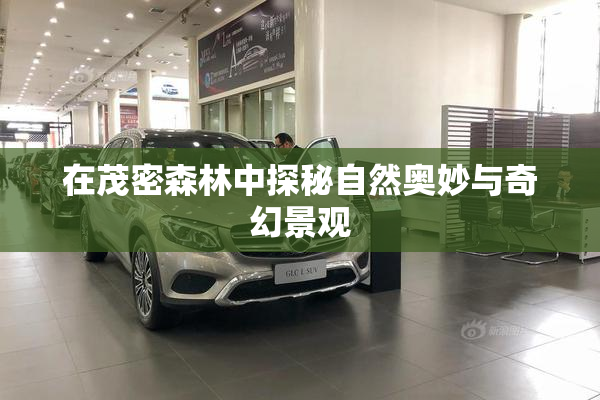 在茂密森林中探秘自然奥妙与奇幻景观