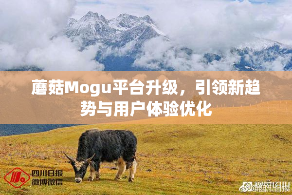 蘑菇Mogu平台升级，引领新趋势与用户体验优化