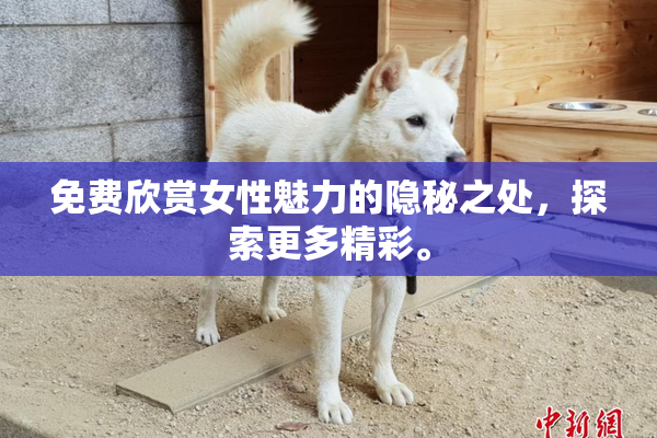 免费欣赏女性魅力的隐秘之处，探索更多精彩。