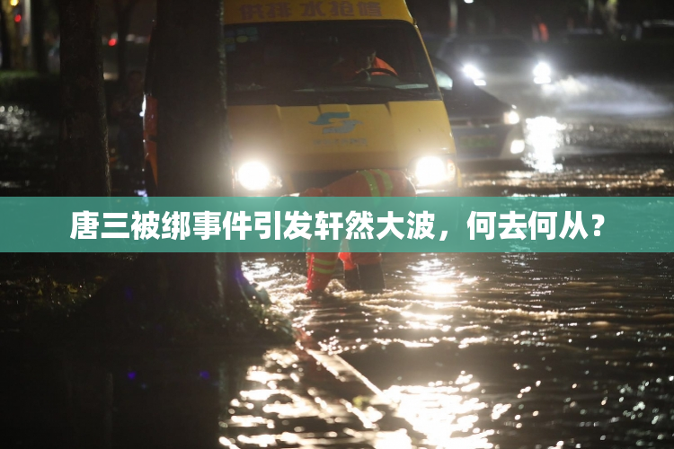 唐三被绑事件引发轩然大波，何去何从？