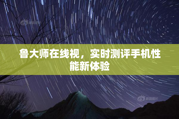 鲁大师在线视，实时测评手机性能新体验