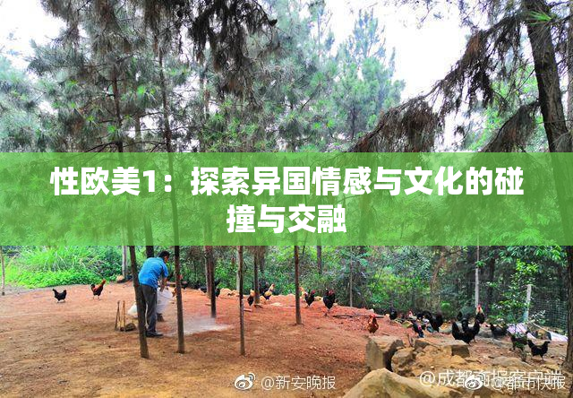 性欧美1：探索异国情感与文化的碰撞与交融