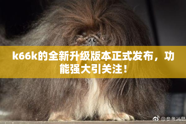 k66k的全新升级版本正式发布，功能强大引关注！