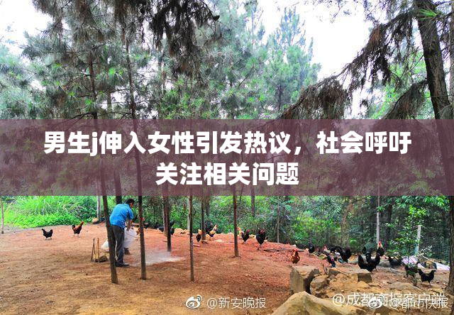 男生j伸入女性引发热议，社会呼吁关注相关问题