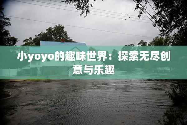 小yoyo的趣味世界：探索无尽创意与乐趣