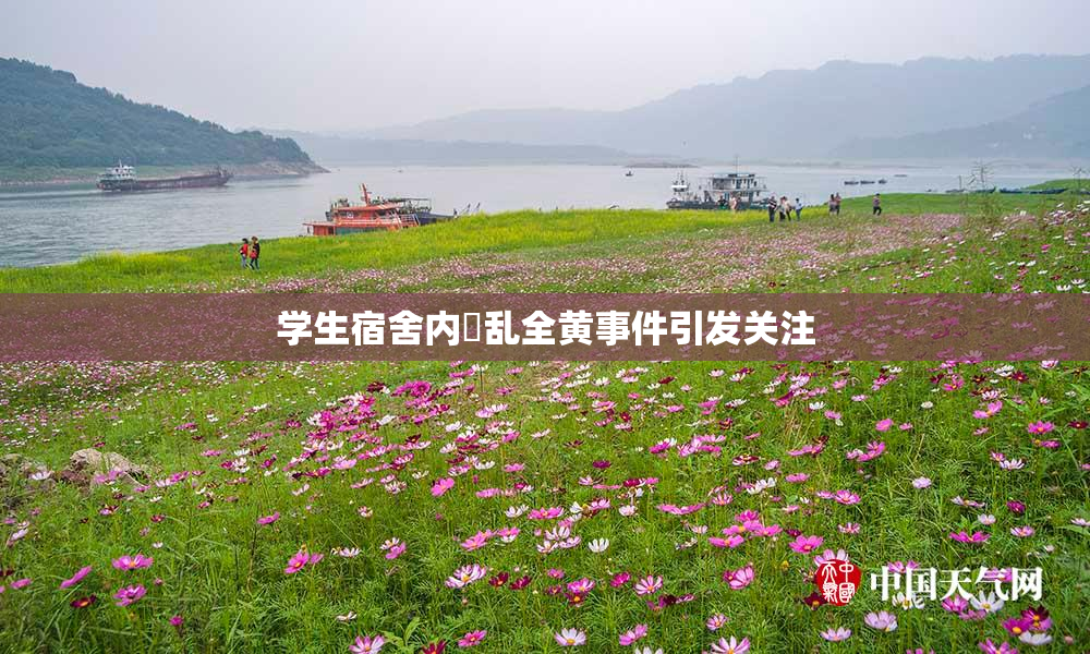 学生宿舍内婬乱全黄事件引发关注