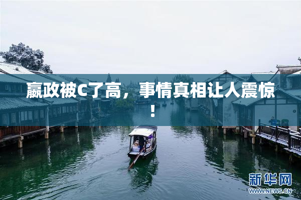 嬴政被C了高，事情真相让人震惊！