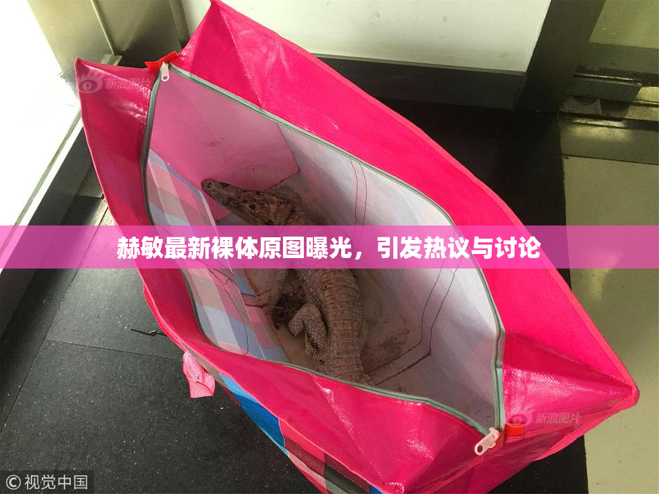 赫敏最新裸体原图曝光，引发热议与讨论