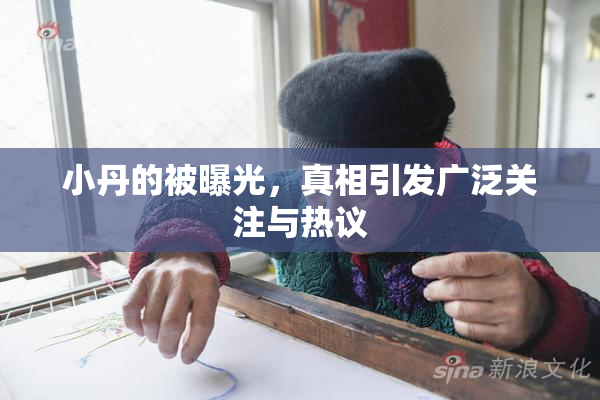 小丹的被曝光，真相引发广泛关注与热议