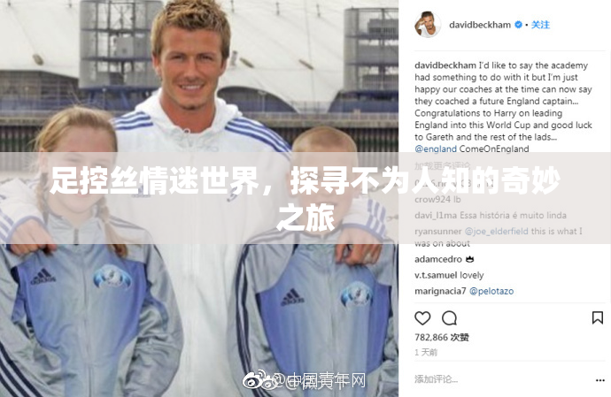 足控丝情迷世界，探寻不为人知的奇妙之旅