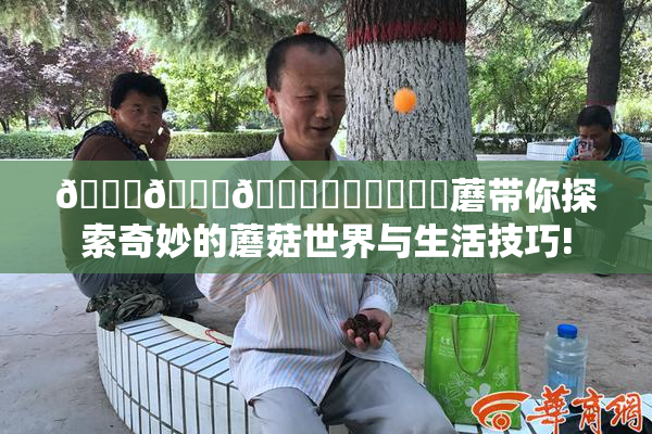 🍆🍑🔞❌‌❌‌❌‌蘑带你探索奇妙的蘑菇世界与生活技巧!