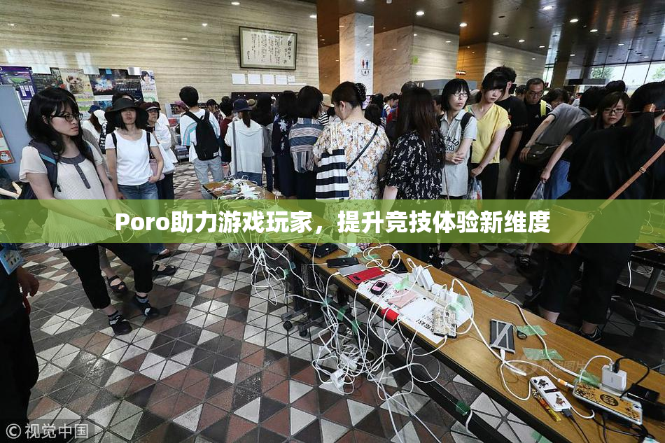 Poro助力游戏玩家，提升竞技体验新维度
