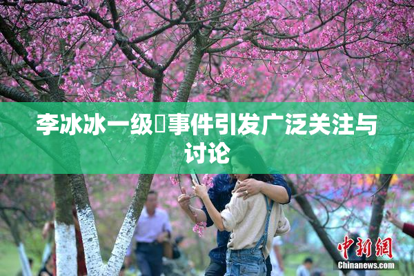 李冰冰一级婬事件引发广泛关注与讨论