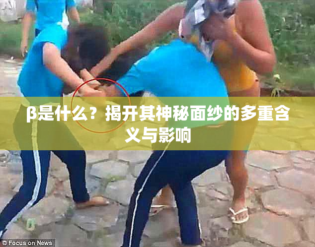 β是什么？揭开其神秘面纱的多重含义与影响