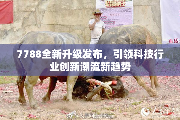 7788全新升级发布，引领科技行业创新潮流新趋势