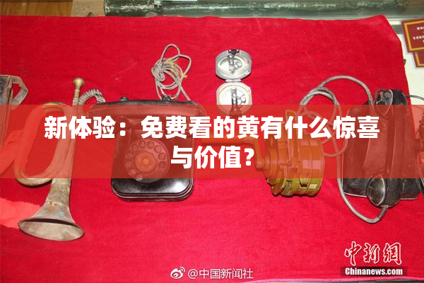 新体验：免费看的黄有什么惊喜与价值？