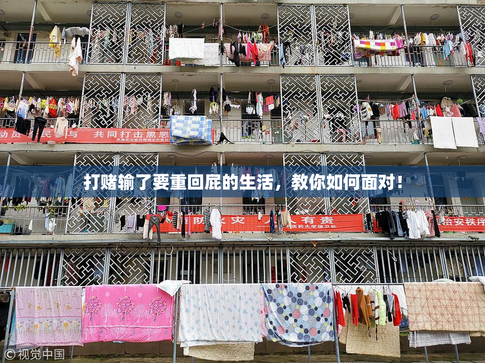打赌输了要重回屁的生活，教你如何面对！