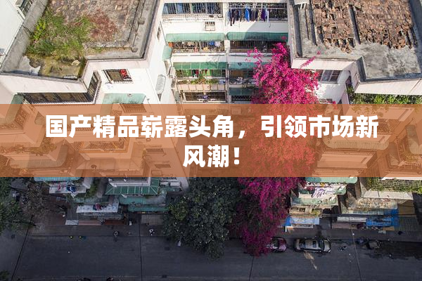 国产精品崭露头角，引领市场新风潮！