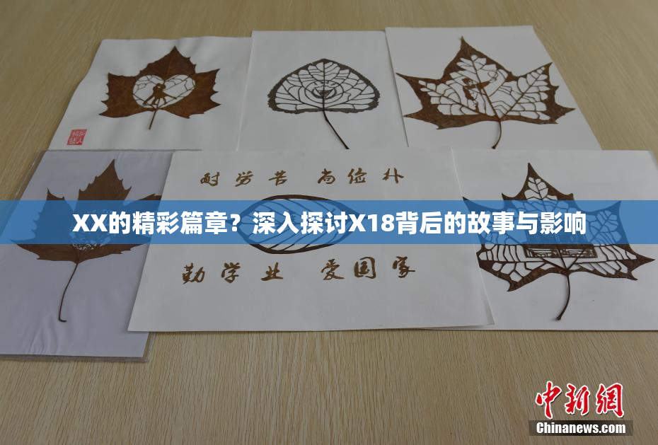 XX的精彩篇章？深入探讨X18背后的故事与影响