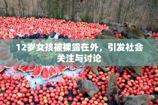 12岁女孩被裸露在外，引发社会关注与讨论