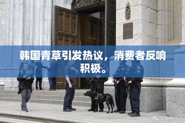 韩国青草引发热议，消费者反响积极。