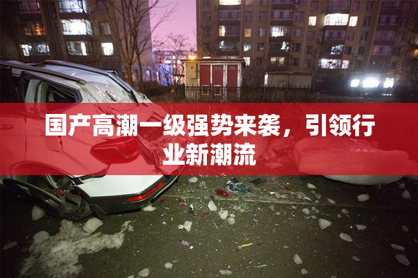 国产高潮一级强势来袭，引领行业新潮流