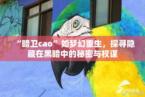 “暗卫cao”如梦幻重生，探寻隐藏在黑暗中的秘密与权谋