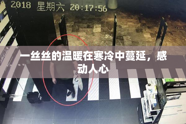 一丝丝的温暖在寒冷中蔓延，感动人心