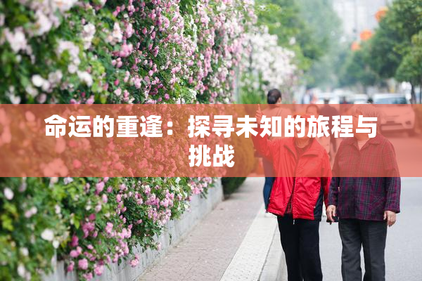 命运的重逢：探寻未知的旅程与挑战