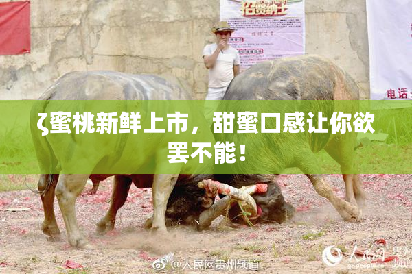 ζ蜜桃新鲜上市，甜蜜口感让你欲罢不能！