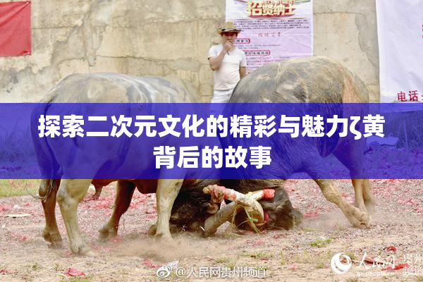 探索二次元文化的精彩与魅力ζ黄背后的故事