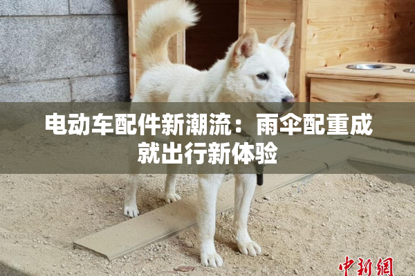 电动车配件新潮流：雨伞配重成就出行新体验