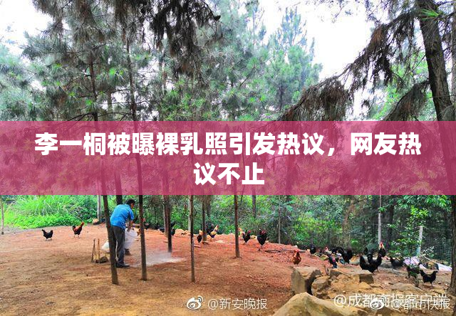 李一桐被曝裸乳照引发热议，网友热议不止