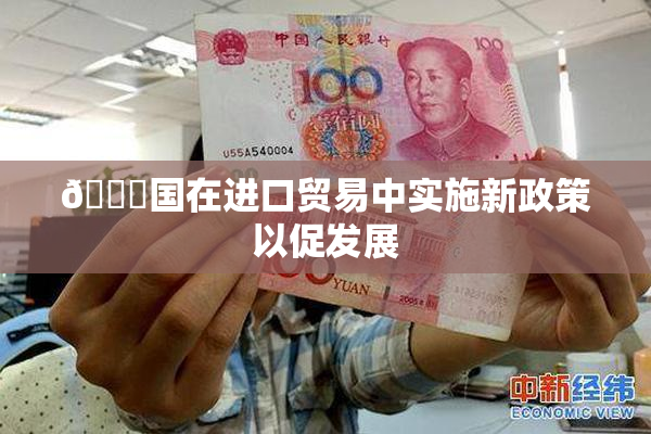 🔞国在进口贸易中实施新政策以促发展