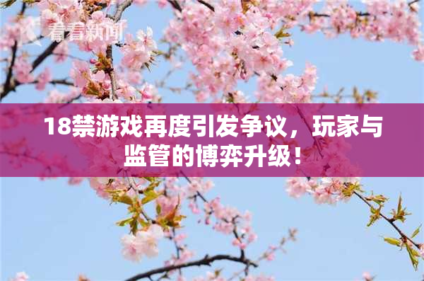 18禁游戏再度引发争议，玩家与监管的博弈升级！