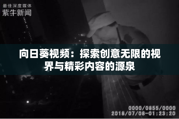 向日葵视频：探索创意无限的视界与精彩内容的源泉