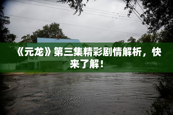 《元龙》第三集精彩剧情解析，快来了解！