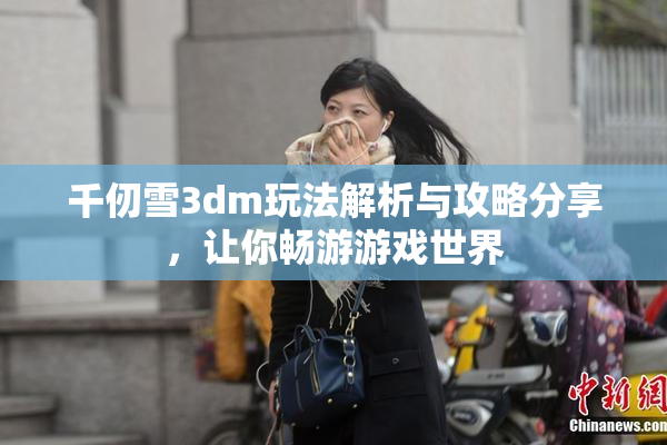 千仞雪3dm玩法解析与攻略分享，让你畅游游戏世界