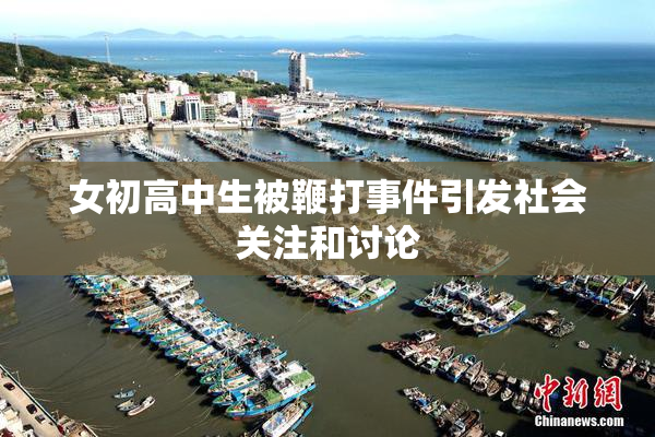 女初高中生被鞭打事件引发社会关注和讨论